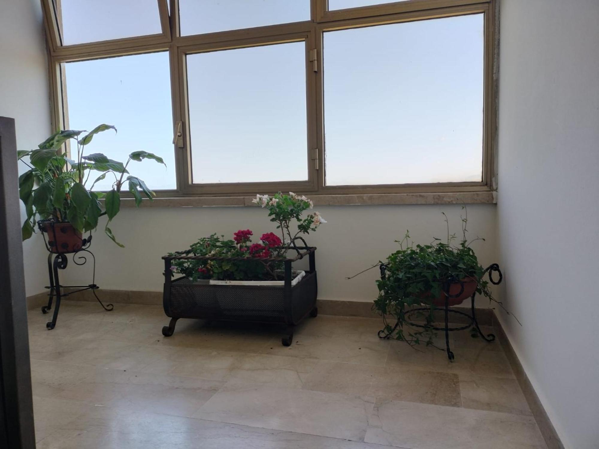D&P Suites 1 Salemi Bagian luar foto